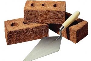 Bouw Bouw