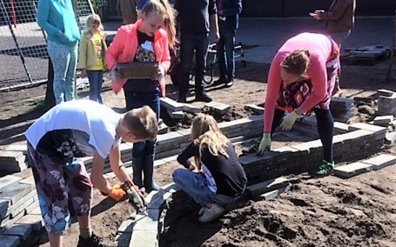 Tijdlijn Bijepark 2017 Tijdlijn Bijepark 2017