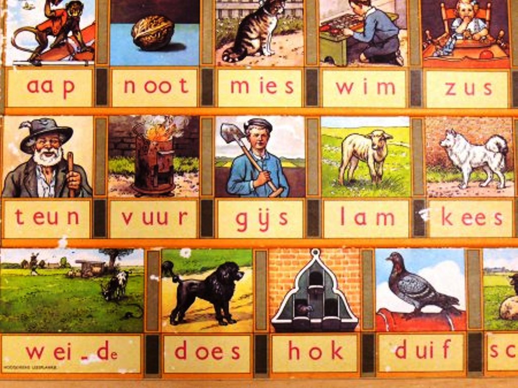 100 jaar aapnootmies 100 jaar aapnootmies