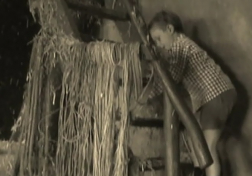 100 jaar film 100 jaar film
