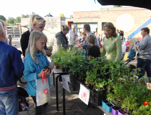 100 jaar plantjesmarkt (1)