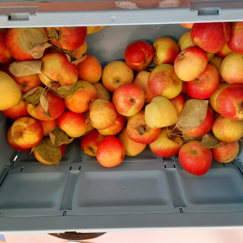 2022-appelmoesmaken-gr-1en2-2 2022-appelmoesmaken-gr-1en2-2