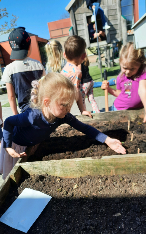 2025-kleutermoestuintje-4 2025-kleutermoestuintje-4