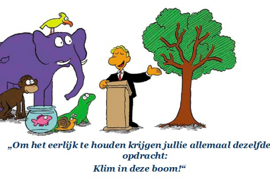 Omgaan met verschillen Omgaan met verschillen